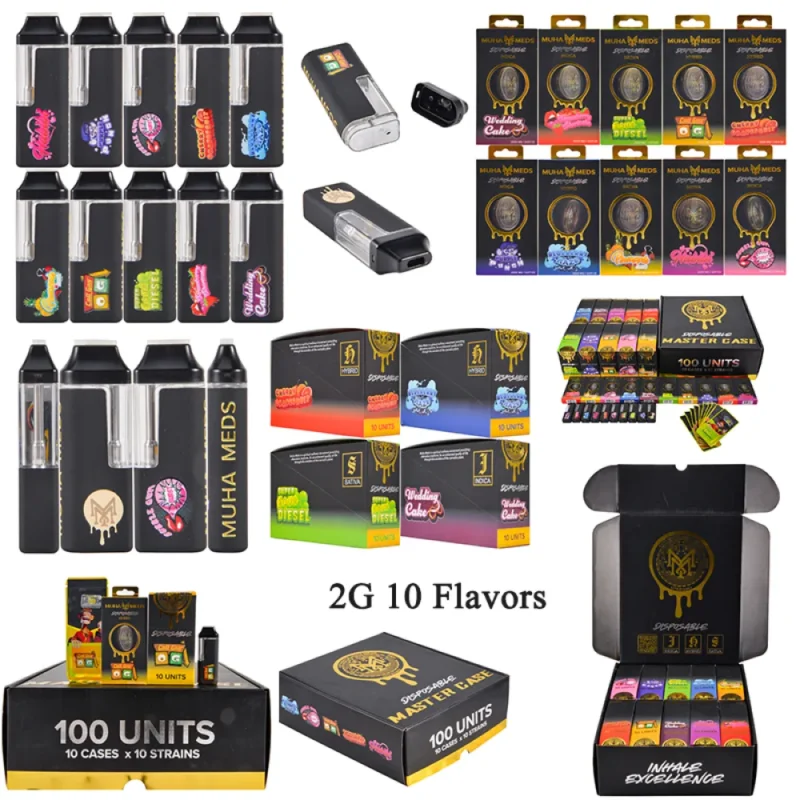 Vapeador desechable Light Up Muha de 2g-10 sabores al por mayor