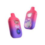 Jeeter Juice V2 de 2ml al por mayor con pantalla digita