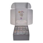 Vape desechable Big Chief 2g - Melted Diamonds 100 Units al por mayor