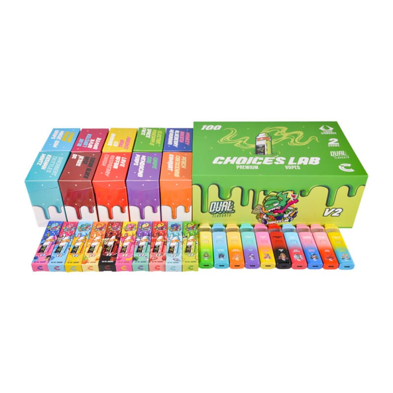 Choices Lab V2 2g con pantalla digital - Proveedor de Choices Lab de doble cámara