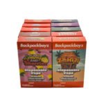 Backpackboyz disposable vape 2g